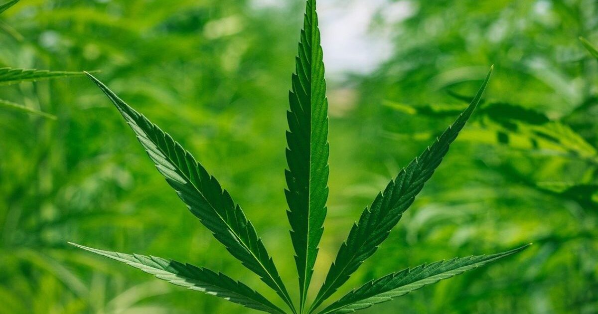 Second Pillar Of German Cannabis Legalization Inches Forward