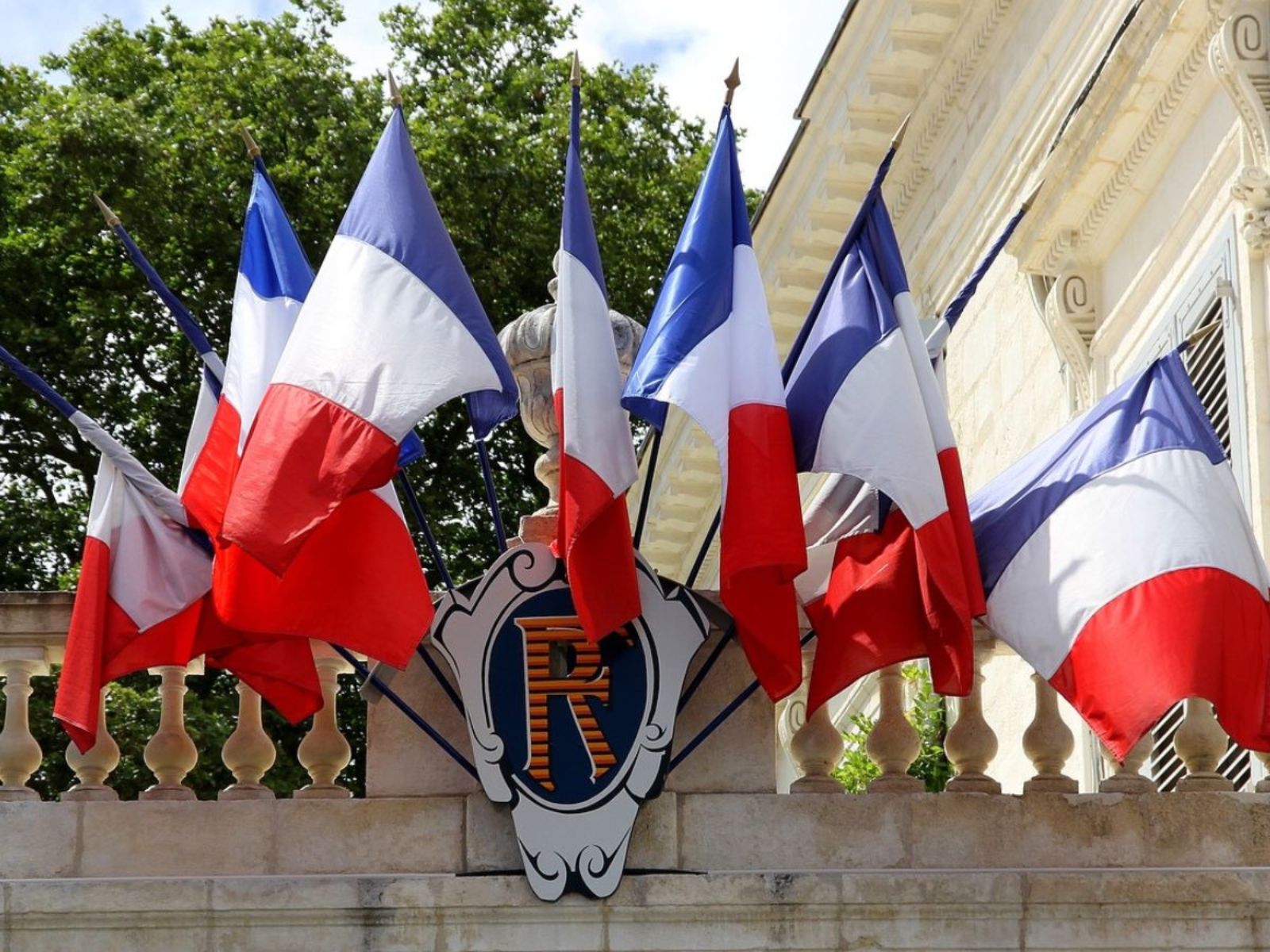 france french flags