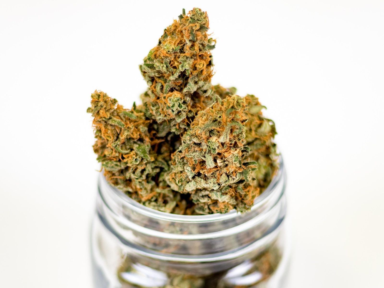 cannabis flower bud buds jar