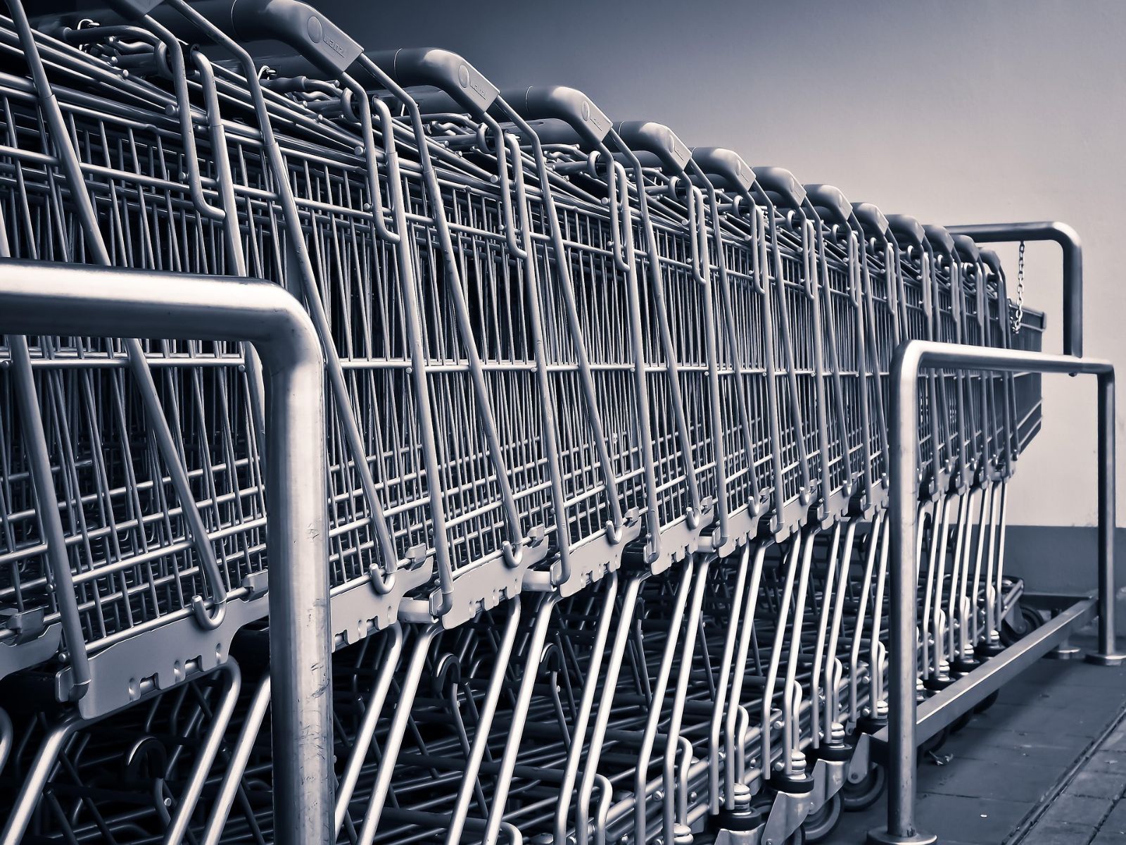 grocery store shopping carts cart