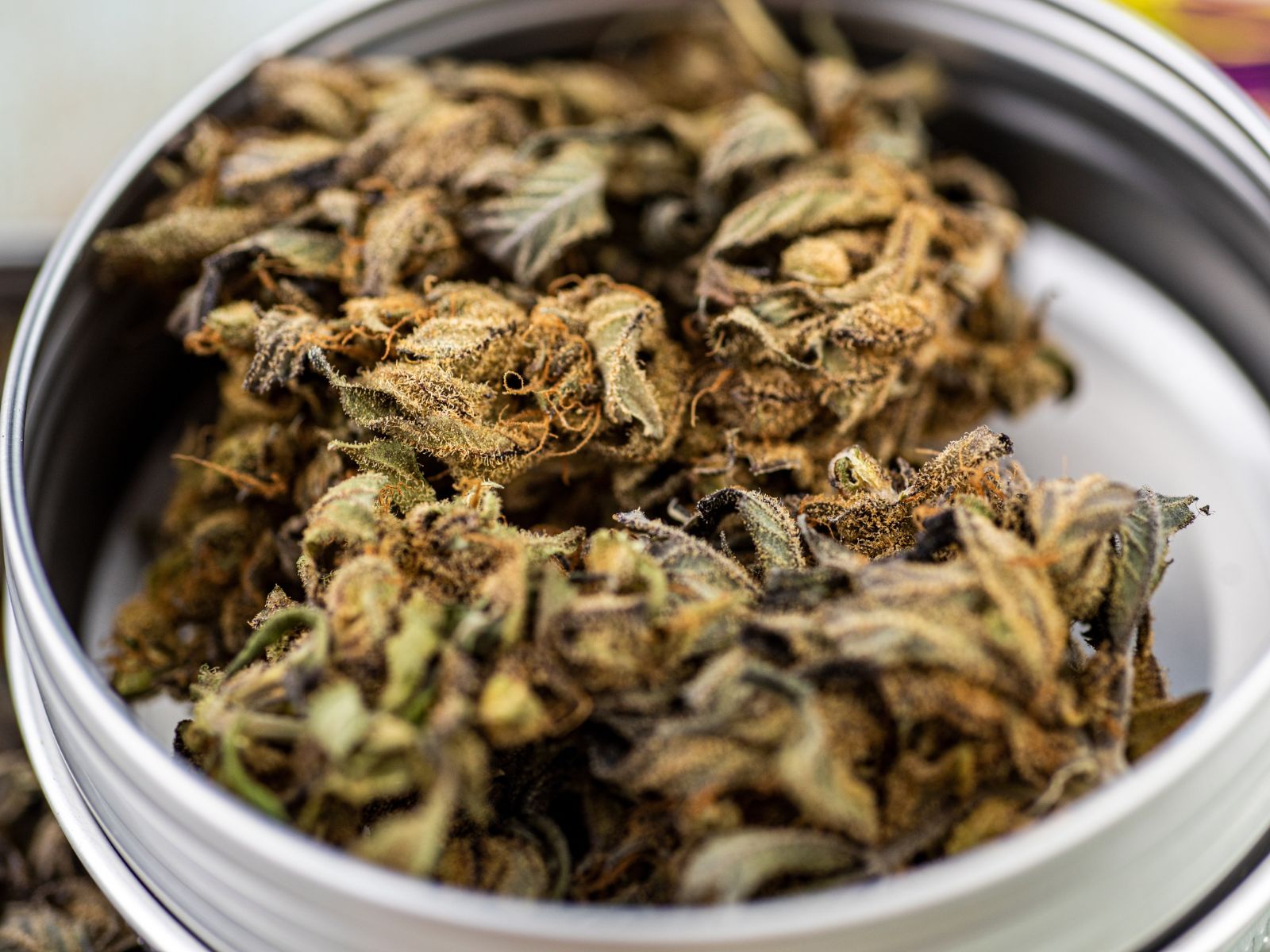 cannabis hemp cbd cannabidiol flower bud
